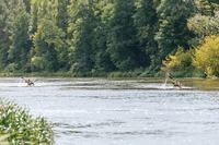 gal/  Regata_2026/_thb_248.jpg